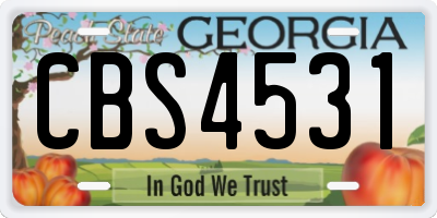 GA license plate CBS4531