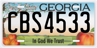 GA license plate CBS4533