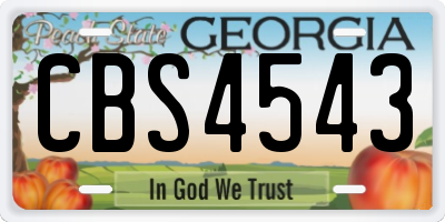 GA license plate CBS4543