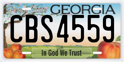 GA license plate CBS4559