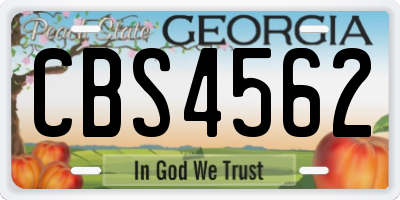 GA license plate CBS4562
