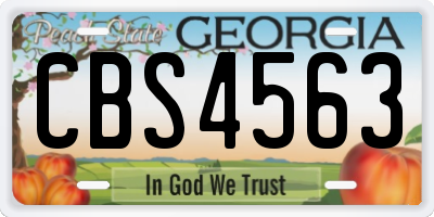 GA license plate CBS4563