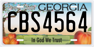 GA license plate CBS4564