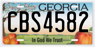 GA license plate CBS4582