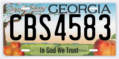 GA license plate CBS4583