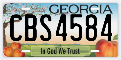 GA license plate CBS4584