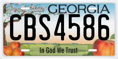 GA license plate CBS4586