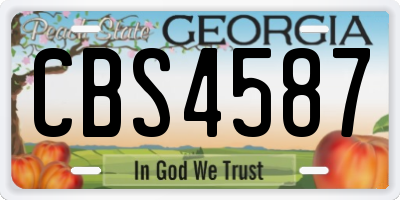 GA license plate CBS4587