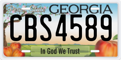 GA license plate CBS4589