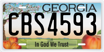 GA license plate CBS4593