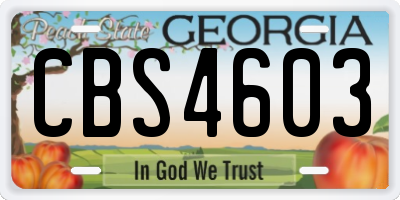 GA license plate CBS4603