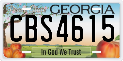 GA license plate CBS4615