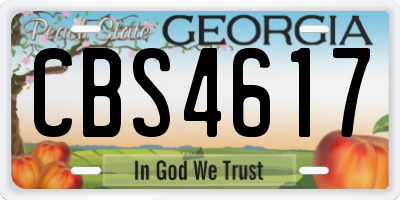 GA license plate CBS4617