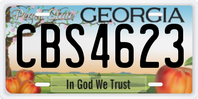 GA license plate CBS4623