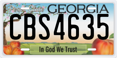 GA license plate CBS4635