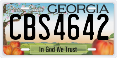 GA license plate CBS4642