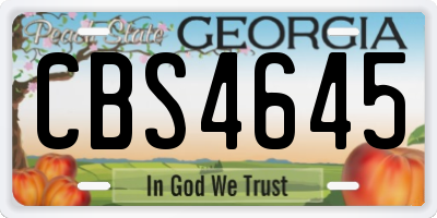GA license plate CBS4645