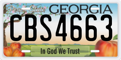 GA license plate CBS4663