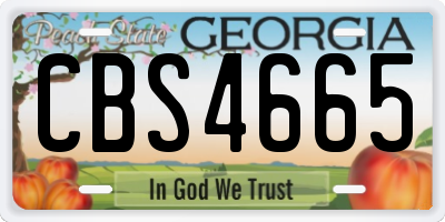 GA license plate CBS4665