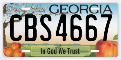GA license plate CBS4667