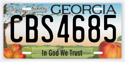 GA license plate CBS4685