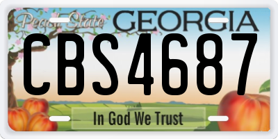 GA license plate CBS4687