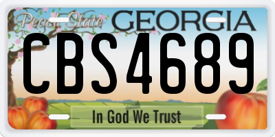GA license plate CBS4689