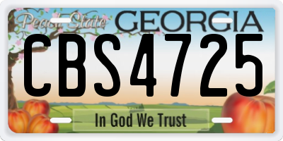 GA license plate CBS4725