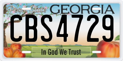 GA license plate CBS4729