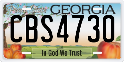 GA license plate CBS4730