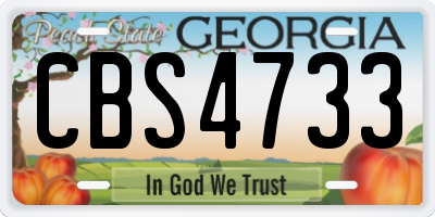 GA license plate CBS4733