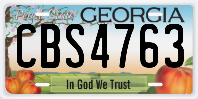 GA license plate CBS4763