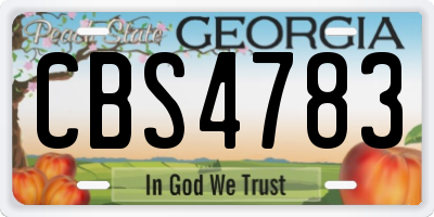 GA license plate CBS4783