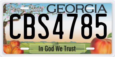 GA license plate CBS4785