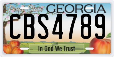 GA license plate CBS4789