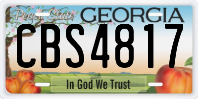 GA license plate CBS4817