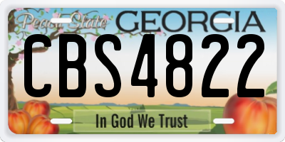 GA license plate CBS4822