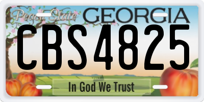 GA license plate CBS4825