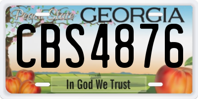 GA license plate CBS4876