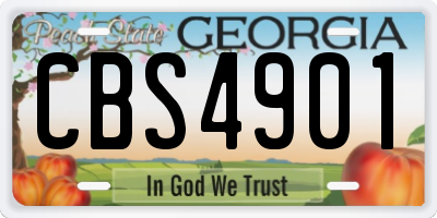 GA license plate CBS4901