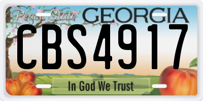 GA license plate CBS4917