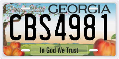 GA license plate CBS4981