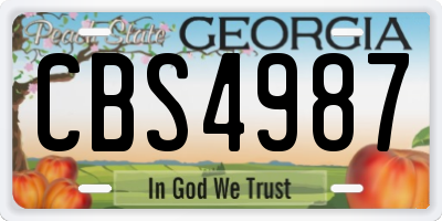 GA license plate CBS4987