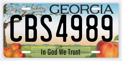 GA license plate CBS4989