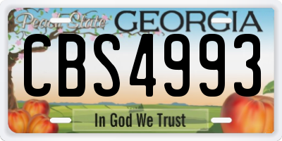 GA license plate CBS4993