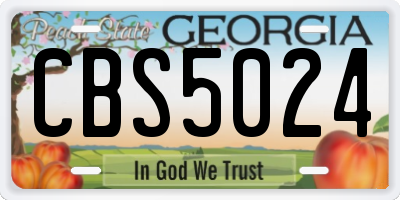 GA license plate CBS5024