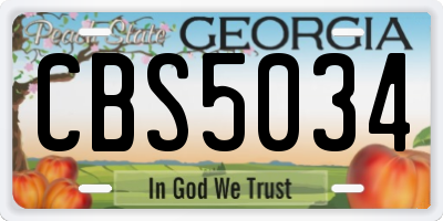 GA license plate CBS5034