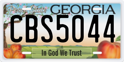 GA license plate CBS5044