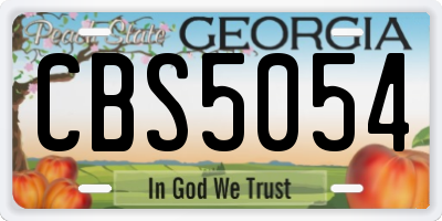 GA license plate CBS5054