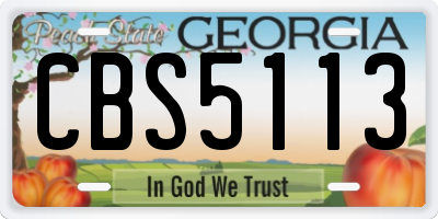 GA license plate CBS5113